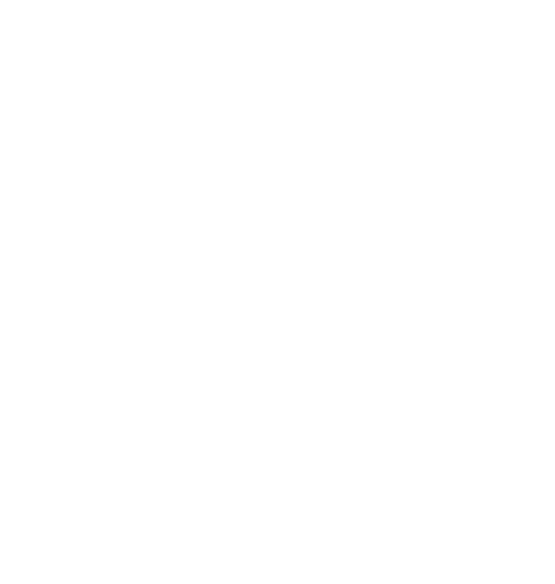 AnNa R Logo White